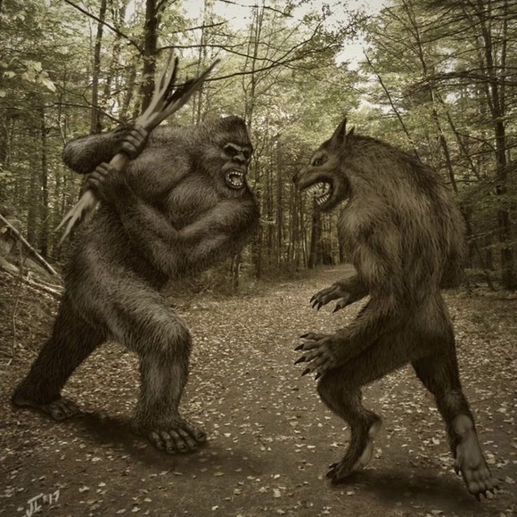 Meet your Posher, John - Picture 1 of 1